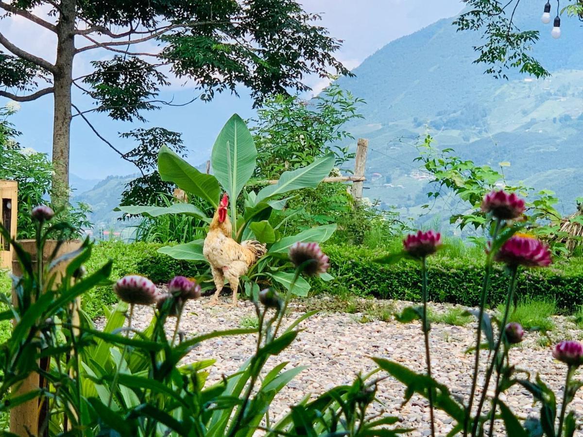 Sapa Rosie House Hotel Екстериор снимка